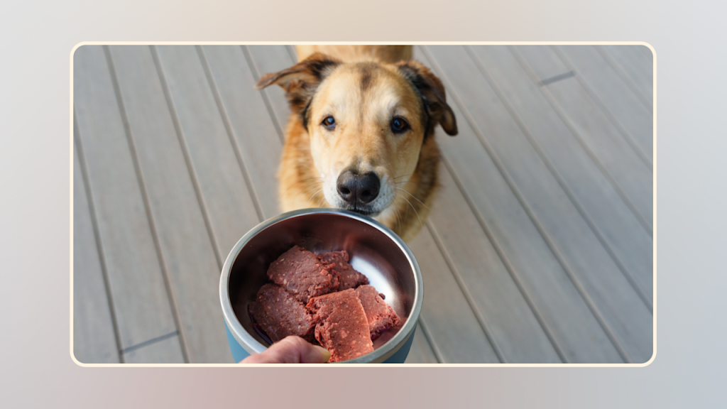 What is a Dogs Natural Diet: Unveiling Canine Nutrition