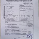 What is a Health Certificate for Dogs: Essential Guide