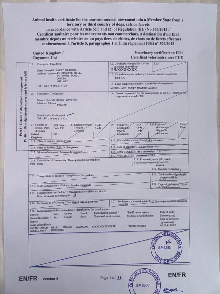 What is a Health Certificate for Dogs: Essential Guide