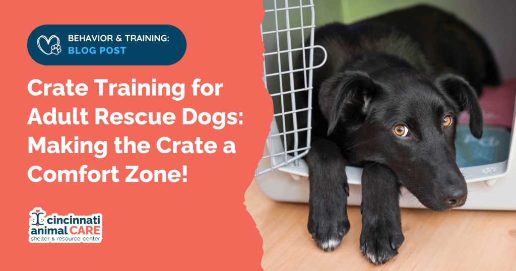 What is Crate Training for Dogs: Essential Tips