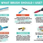 What Shots Do Dogs Need to Get Groomed: Essential Guide