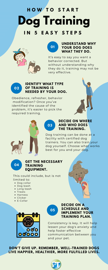 When to Start Training a Dog: Expert Tips Revealed