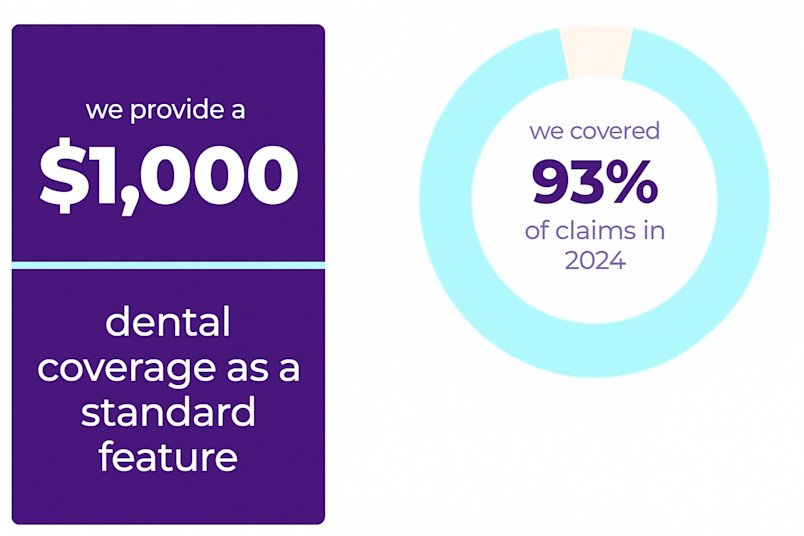 Which Dog Insurance Covers Dental: Find the Best Plan