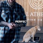 Will Atherton Dog Training: Transform Your Pup Today