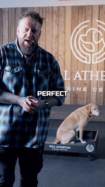 Will Atherton Dog Training: Transform Your Pup Today