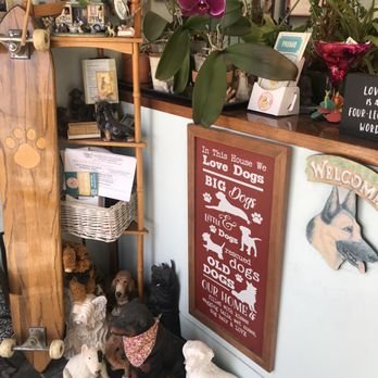 Yukos Dog Grooming North Park: Pamper Your Pet Today