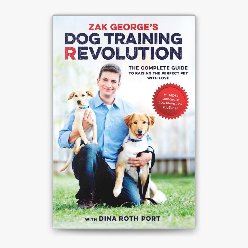 Zak Dog Trainer: Transform Your Pet’s Behavior Today