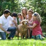 Activities for Dogs at Home: Unleash Fun & Bonding