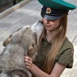 Adopt a Retired Military Dog: Unleash Loyalty & Love 2025