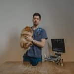 Affordable Dog Training: Expert Tips for Pet Owners