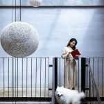 Asian Fusion Dog Grooming: Transform Your Pet’s Style