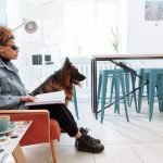 Autism Service Dog Training: Transform Lives Today