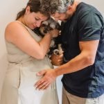 Average Pet Insurance Cost Dog: What to Expect