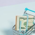 Average Price for Dog Insurance: Uncover Affordable Plans