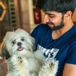 Bearded Dog Breeds: Discover Fluffy Companions