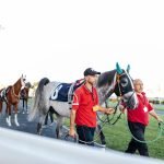 Become a Dog Trainer: Transform Passion into Career