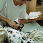 Book Dog Grooming Online: Hassle-Free Appointments