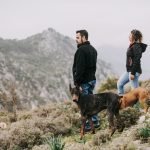 Breeds of Dogs Medium: Discover Perfect Companions