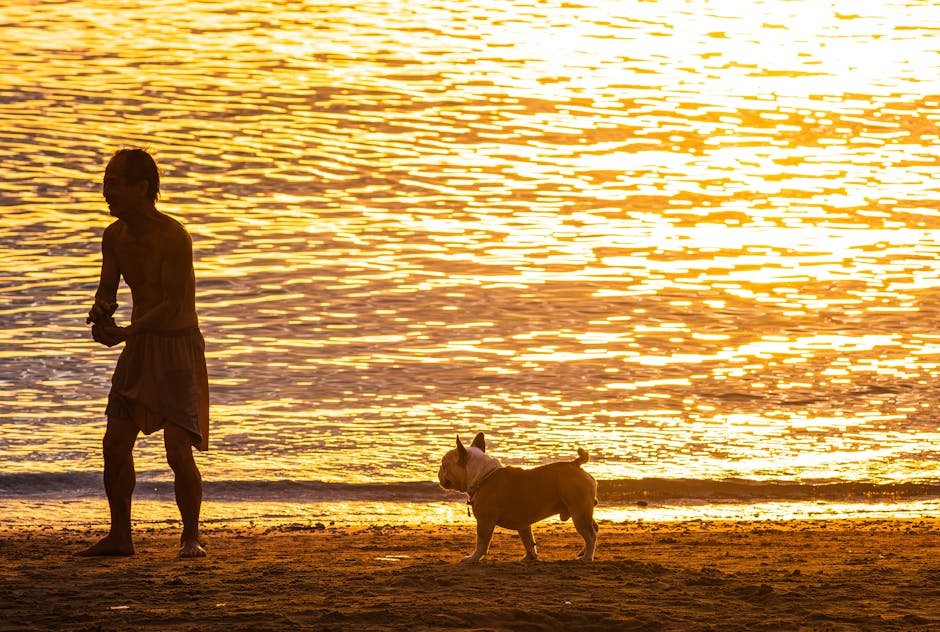 Bulldog Dog Insurance: Essential Coverage for Peace of Mind