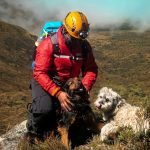 Can Dogs Have Activated Charcoal Pills: Safety Guide