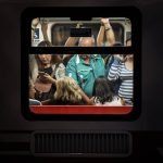 Can You Train Cats Like Dogs: Discover Effective Techniques