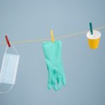 Can You Train a Dog to Use a Litter Tray: Expert Tips