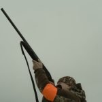 Dangerous Dog Liability Insurance: Protect Your Assets