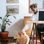 Does Home Owner Insurance Cover Dog Bites? Find Out Now!