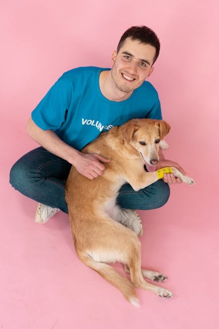 Dog Adoption FAQs: Essential Tips for New Owners