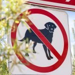 Dog Barking Excessively Laws: Know Your Rights