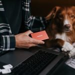 Dog Bite Insurance Cost: Protect Your Wallet Today
