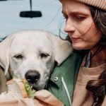 Dog Breeds That Start With P: Perfect Pooches Guide