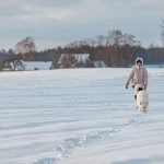 Dog Friendly Activities Lake Tahoe: Adventure Awaits