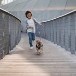Dog Friendly Activities in Orlando: Fun Adventures Await!