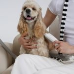 Dog Groomer Tip Calculator: Maximize Your Pet Care Savings
