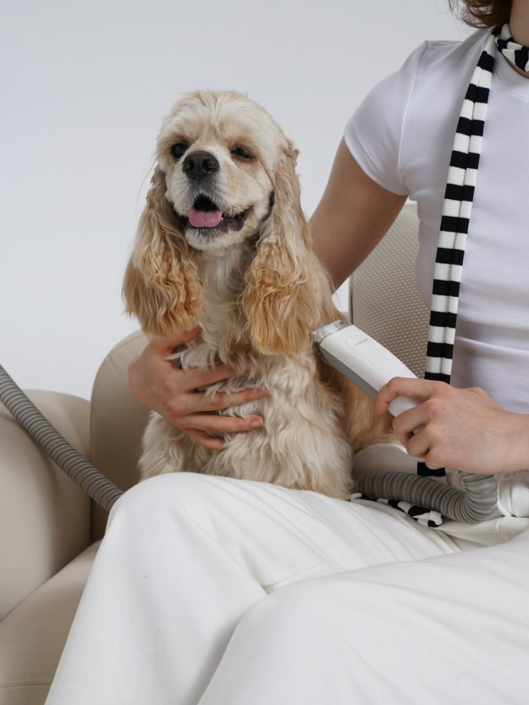 Dog Groomer Tip Calculator: Maximize Your Pet Care Savings