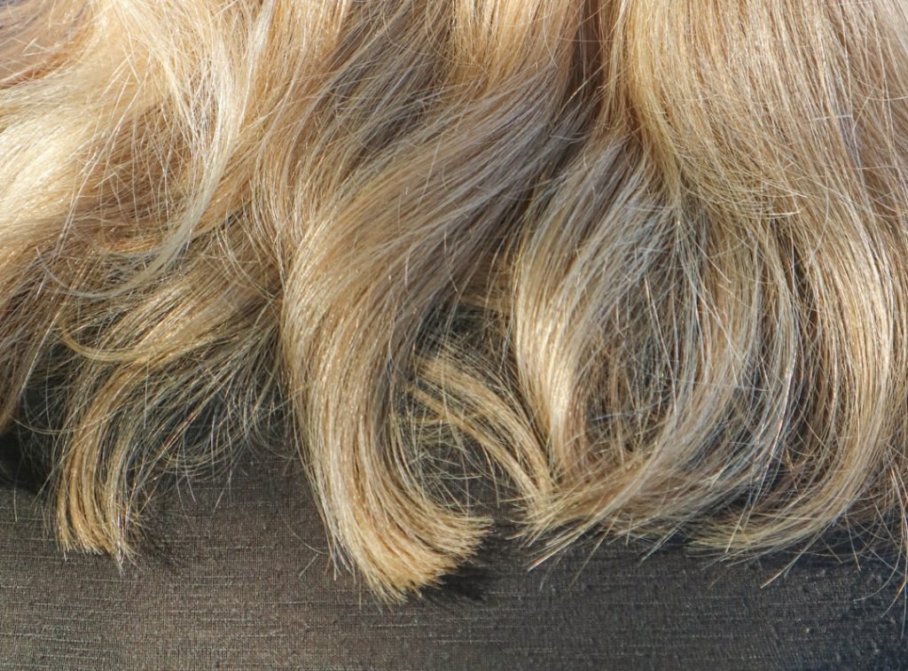 Dog Grooming Hair Length Chart: Ultimate Guide to Styles