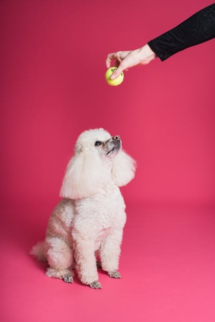 Dog Grooming Logo: Unleash Your Brand’s Potential