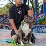 Dog Grooming Tattoo: Unleash Artistic Pet Style