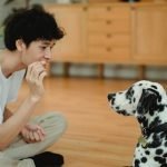 Dog Obedience Commands for Puppies: Essential Tips for Success