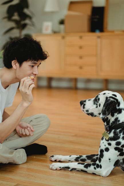 Dog Obedience Commands for Puppies: Essential Tips for Success