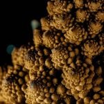 Dog Raw Food Diet Scientific Research: Unveiling Truths