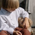 Dog Sedation for Grooming: Safe Solutions Explained