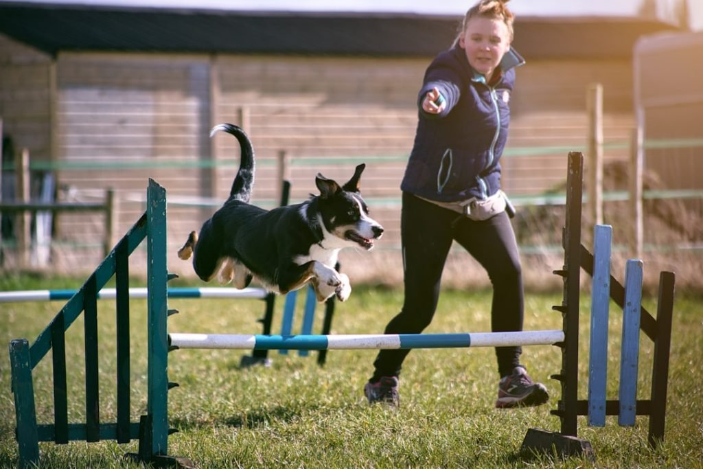 Dog Trainer Wage: Unlocking Earning Potential