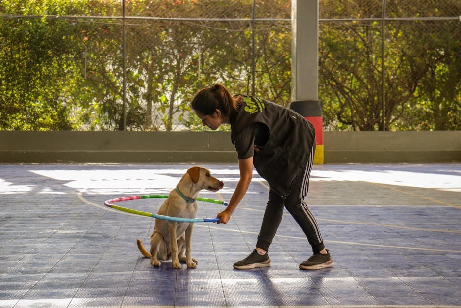 Dog Training Schedule: Master Your Pup’s Routine