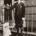 Dog Training for Older Dogs: Unlock Timeless Techniques