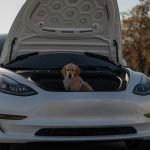 Doge Car Insurance Elon Musk: Revolutionizing Auto Coverage