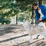 Esa Dog Training: Transform Your Companion’s Behavior