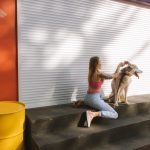 Free Dog Grooming License Ohio Online: Easy Steps Guide