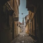 Free Dog Grooming near Me: Discover Top Local Offers